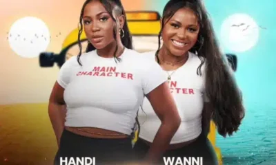 BBNaija S9: Wanni accuses Ben of touching Handi's nipple