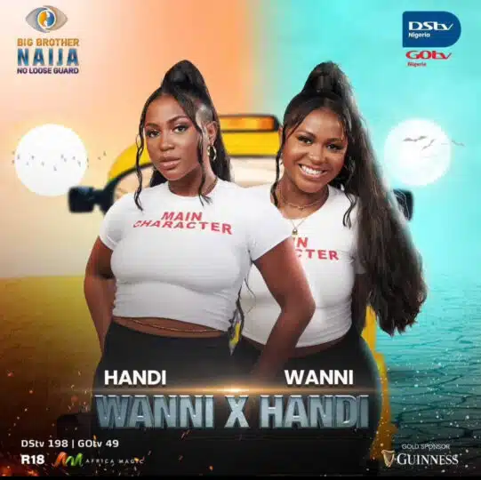 BBNaija S9: Wanni accuses Ben of touching Handi's nipple