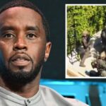 Federal Prosecutors Allegedly Obtain Video of Diddy with Male Escort Amid Criminal Investigation