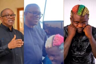 He Didn’t Give Us Anything - Portable Laments After Meeting Peter Obi