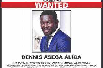 EFCC declares Asega Aliga, Teleology Holdings CEO, wanted