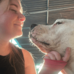 Lady unexpectedly ‘falls in love’ with another dog after bringing her sick dog to Spain to live out her final days