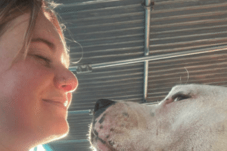 Lady unexpectedly ‘falls in love’ with another dog after bringing her sick dog to Spain to live out her final days