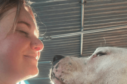 Lady unexpectedly ‘falls in love’ with another dog after bringing her sick dog to Spain to live out her final days