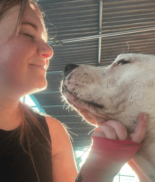 Lady unexpectedly ‘falls in love’ with another dog after bringing her sick dog to Spain to live out her final days