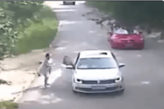 Moment Tiger pounced and dragged woman away whilst arguing with her husband
