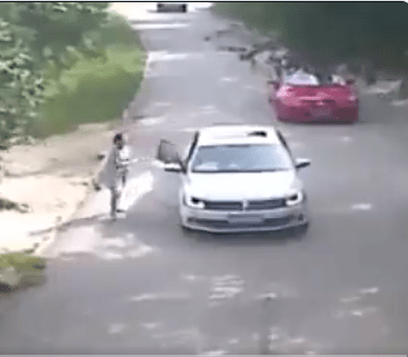 Moment Tiger pounced and dragged woman away whilst arguing with her husband