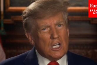 “There will be only 2 Genders from my Day 1 in office, No Transgender” – Donald Trump declares