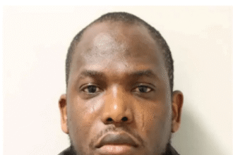 UK Court blocks deportation of Nigerian man as his wife claims IVF treatment is unavailable in Nigeria