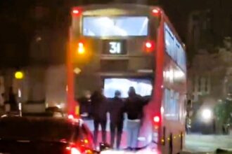 Four foolish youths spark outrage with their dangerous bus stunt