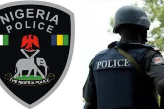 Nigeria police