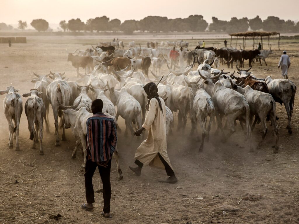 Herder-farmer clashes in Nigeria kill at least 56