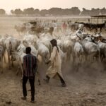 Herder-farmer clashes in Nigeria kill at least 56