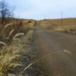 Welcome to Monowi, Nebraska: population 1