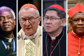 Who will be the next Pope? The top candidates in an unpredictable process