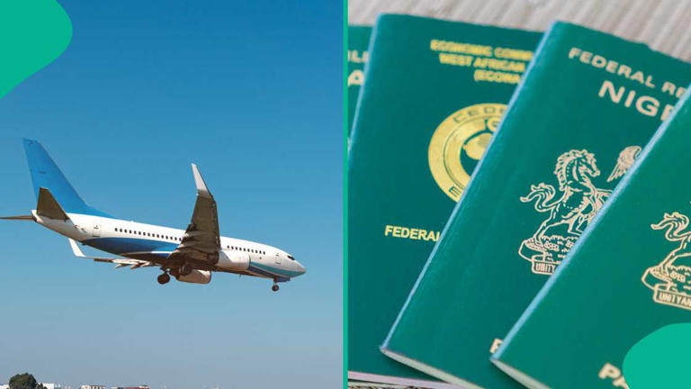 Airplane and Nigerian Passport