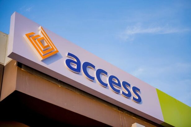 Court slams Access Bank for freezing customer’s account unlawfully - The Statesman