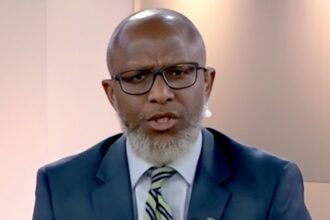 2027: Nigerians tired of recycled politicians – Former presidential aide
