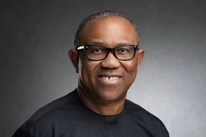 2027: Tinubu’s aide reveals coalition’s proposed job for Peter Obi as he clocks 64