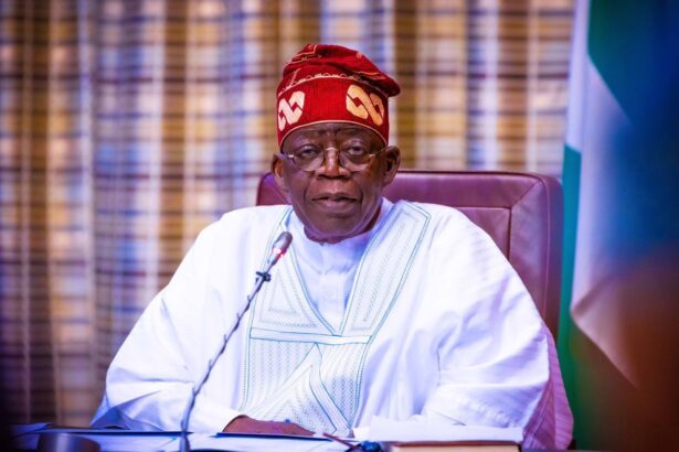 ADC: A party still grappling with an identity crisis, by Sunday Dare
