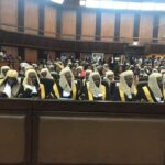 Adewale, Adesina, Oyewole, Esan, Ikeji, Ibrahim, Mustapha, others become SANs (+ full list)