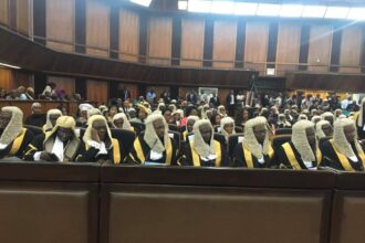 Adewale, Adesina, Oyewole, Esan, Ikeji, Ibrahim, Mustapha, others become SANs (+ full list)