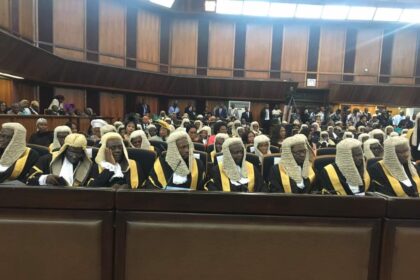 Adewale, Adesina, Oyewole, Esan, Ikeji, Ibrahim, Mustapha, others become SANs (+ full list)