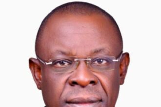 Any plot to marginalise Peter Obi would be resisted – Obidient leader declares