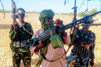 Boko Haram terrorists cell emerging near Abuja – ISS research reveals