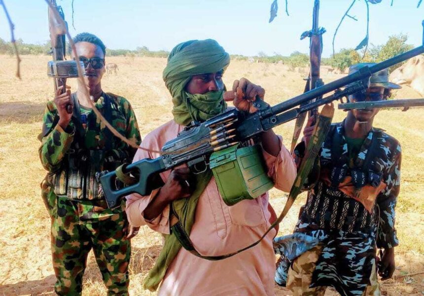Boko Haram terrorists cell emerging near Abuja – ISS research reveals