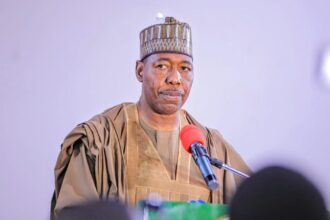 Borno Governor Zulum orders immediate implementation of N70,000 minimum wage for council workers 