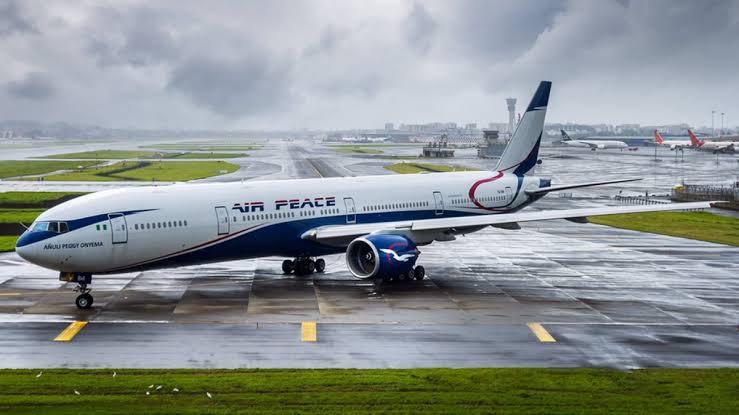 BREAKING: Bird Strike Grounds Air Peace Enugu-Bound Flight