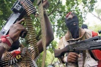 BREAKING: Many Feared Dead as Gunmen Storm Imo Community