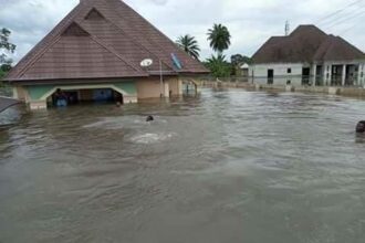Buildings collapse as flood takes over streets in Borno