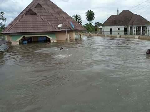 Buildings collapse as flood takes over streets in Borno