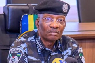 Businessman petitions I-G over property seizure