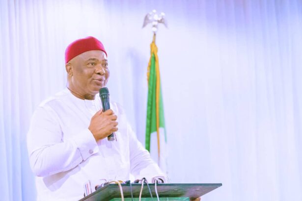 Constitution Review: Uzodimma, Otti differ on state creation