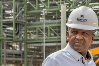 Dangote urges African leaders to protect local industries from unfair competition