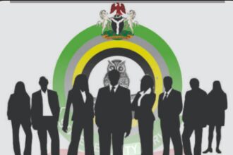 DSS: Northern Group raps Amnesty International, says body supports Fake News to Destabilize Nigeria