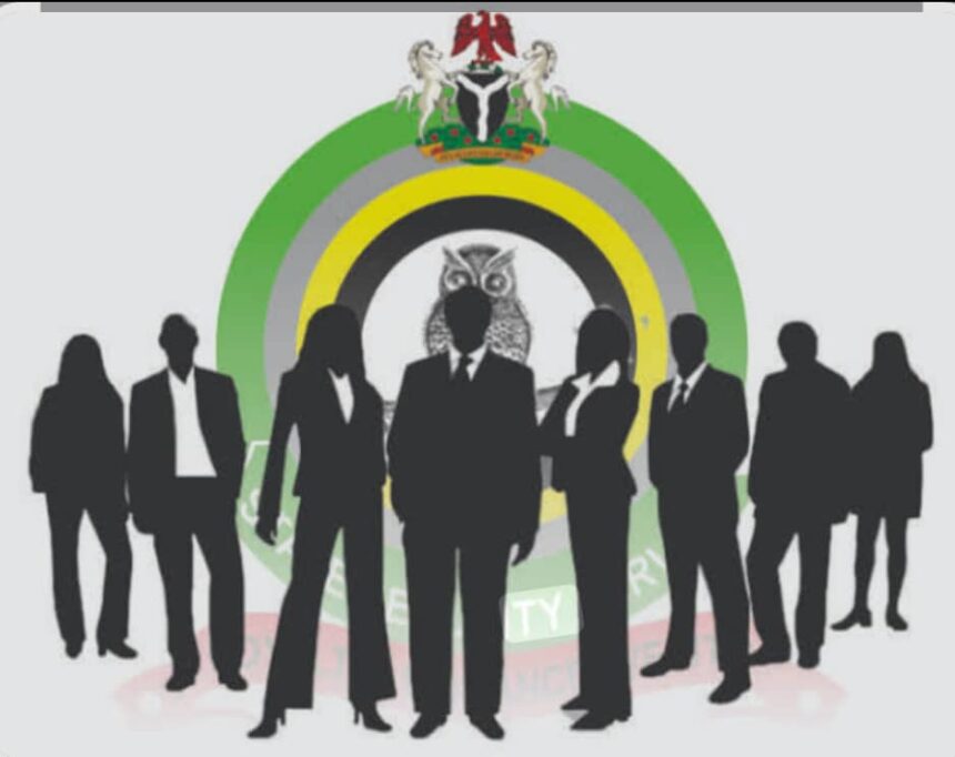 DSS: Northern Group raps Amnesty International, says body supports Fake News to Destabilize Nigeria