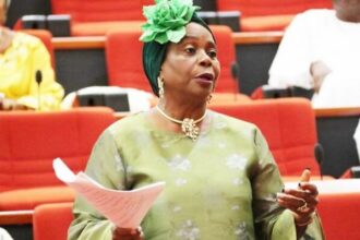Ekiti Senator Explains Why She Ignored ADC, Reveals Major Problem in Opposition Party