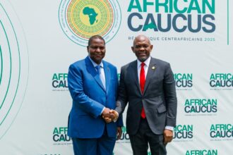 Elumelu: We must be realistic, African governments must do better, Africa needs to step up