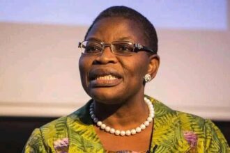 Ezekwesili: Constitutional Amendment Is a Wasteful Charade