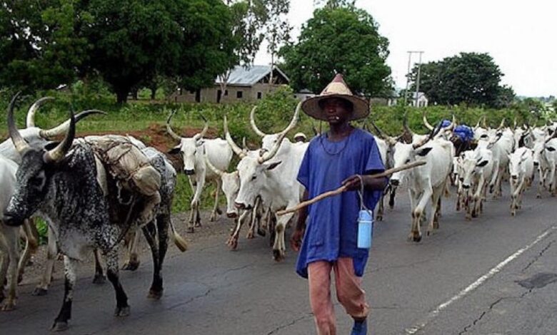 FG announces plan to establish cattle breeding centres across all regions
