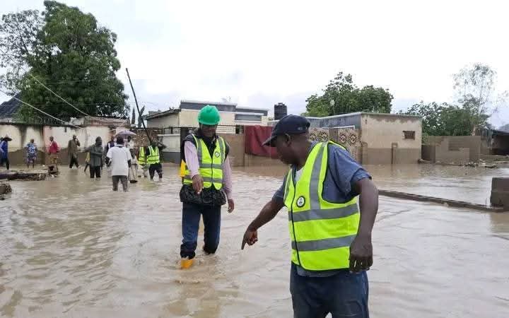 Floods Kill Five, Injure 55 in Yola – NEMA
