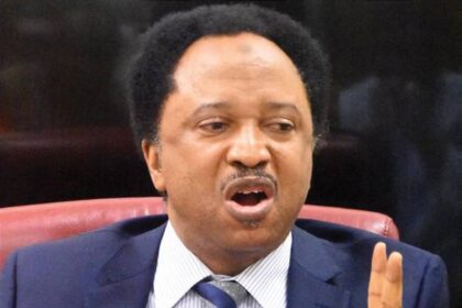 ‘Hold thy Labour’, Shehu Sani offers advice to Peter Obi on his birthday