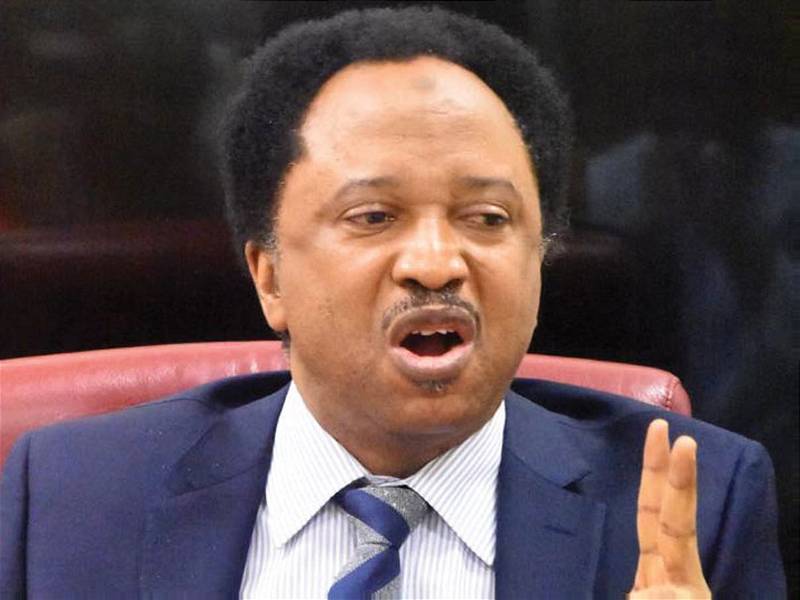 ‘Hold thy Labour’, Shehu Sani offers advice to Peter Obi on his birthday