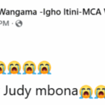 Kenyan Lawmaker Devastated as Newborn Daughter Dies Days After Wife’s Burial