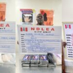 NDLEA arrests wanted drug kingpin after 7 years, seizes 101,150kg of illicit drugs in 13 states 