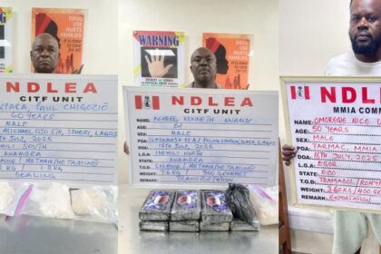 NDLEA arrests wanted drug kingpin after 7 years, seizes 101,150kg of illicit drugs in 13 states 